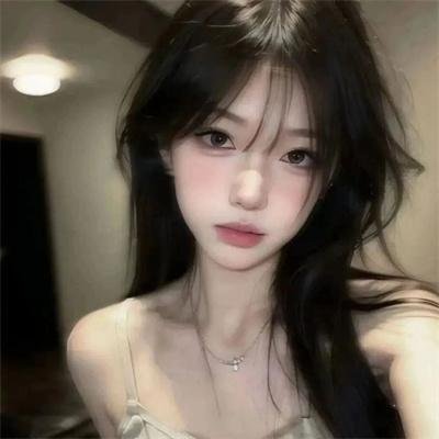 挚爱极地