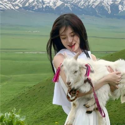 汤姆猫与杰利鼠：间谍使命