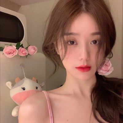 长袜子皮皮的新冒险